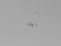 2012_10_13_45.jpg