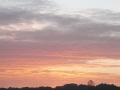 2012_10_21_03.jpg