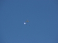 2012_10_27_05.jpg
