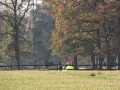2012_10_28_42.jpg