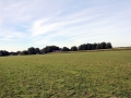 2013_10_03_12.jpg