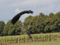 2013_10_06_14.jpg