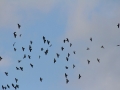 2013_10_13_05.jpg