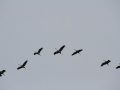 2013_10_20_29.jpg