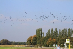 K1024_IMG_5113.1