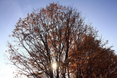 K1024_IMG_5450.1