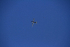 K1024_IMG_5451.1