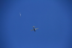 K1024_IMG_5452.1