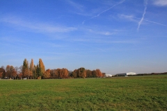 K1024_IMG_5464.1