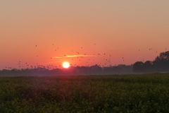 K1024_P1060227.1