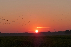 K1024_P1060228.1