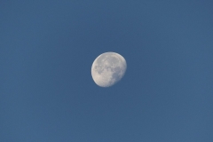 K1024_P1060233.1