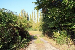 07_K1024_IMG_4869.1