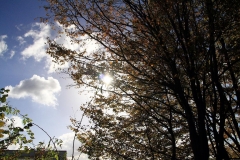 12_K1024_IMG_4984.1