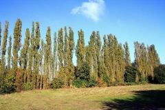 15_K1024_IMG_4886.1