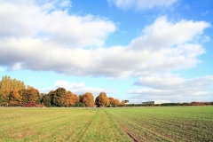 28_K1024_IMG_5057.1