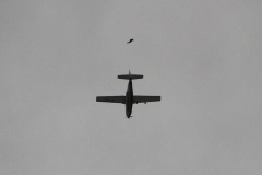 37_K1024_IMG_4609.1.1