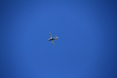 02_K1024_IMG_1672.1