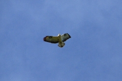 18_K1024_IMG_1093.1.1