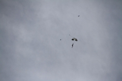 22_K1024_IMG_1103.1