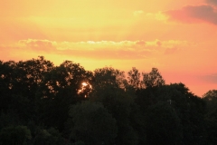 K1024_IMG_0801.1
