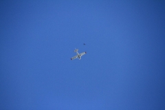 K1024_IMG_1283.1