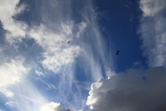 K1024_IMG_1532.1