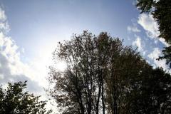 K1024_IMG_8729.1