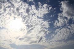 K1024_IMG_8731.1