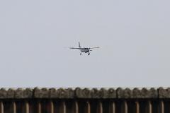 K1024_IMG_8857.1.1