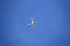 K1024_IMG_8912.1.1