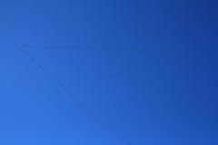 K1024_IMG_8565.1