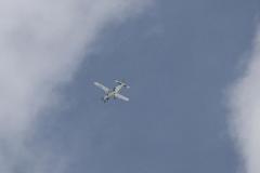K1024_IMG_3339.1.1