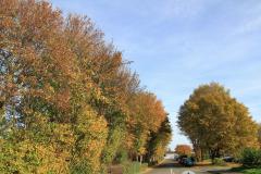 K1024_IMG_3996.1