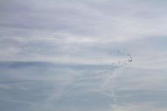 K1024_IMG_4018.1