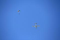 K1024_IMG_9089.1