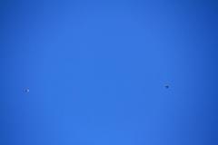 K1024_IMG_8845.1