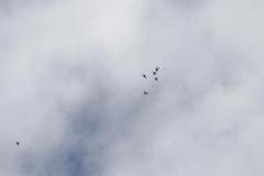 K1024_IMG_8972.1