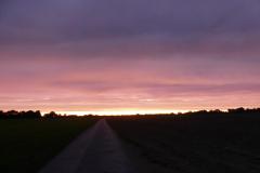K1024_P1070555.1