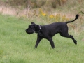 2012_09_01_04.jpg