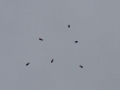 2014_09_28_08.jpg