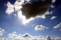 K1024_IMG_4675.1
