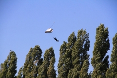 34_K1024_IMG_4218.1