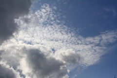 01_K1024_IMG_0679.1