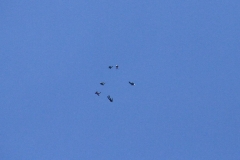 03_K1024_IMG_0685.1.1