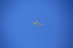 K1024_IMG_0658.1
