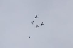 K1024_IMG_8346.1.1