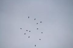 K1024_IMG_8349.1