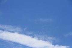 K1024_IMG_8385.1