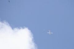 K1024_IMG_9059.1